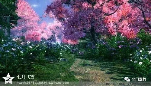 全民烧脑3去广告版