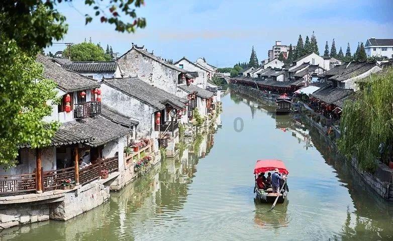 救援瓢虫宝宝